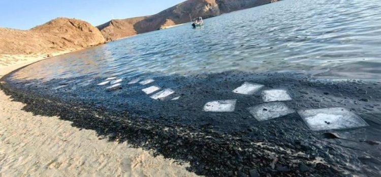 Daño ecológico ocasiona cierre en Playa de BCS