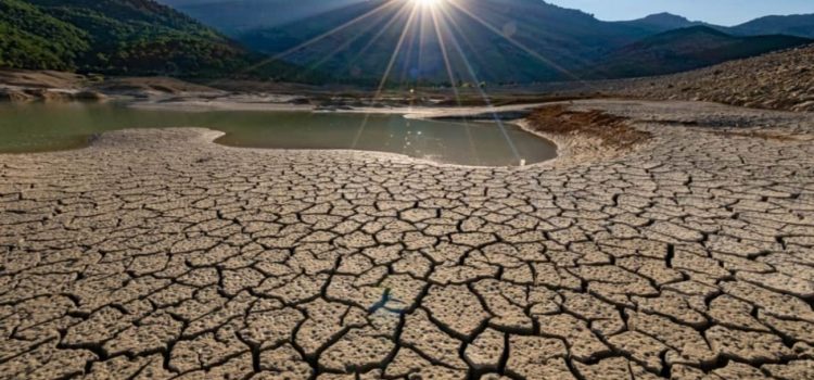 Alrededor de 40 municipios del estado sufren de sequía