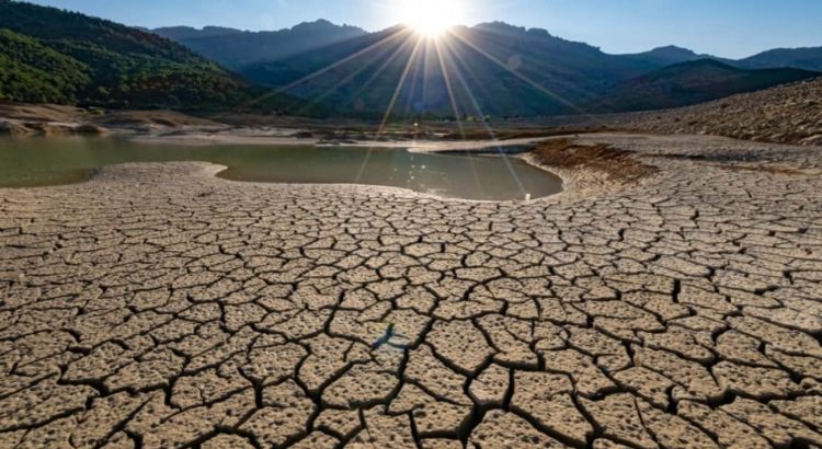 Alrededor de 40 municipios del estado sufren de sequía