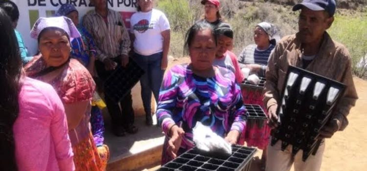 DIF Estatal lleva capacitación en el cultivo de hortalizas a municipios del Estado