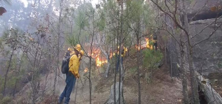 Refuerza Gobierno del Estado equipos para combatir incendios en zona serrana