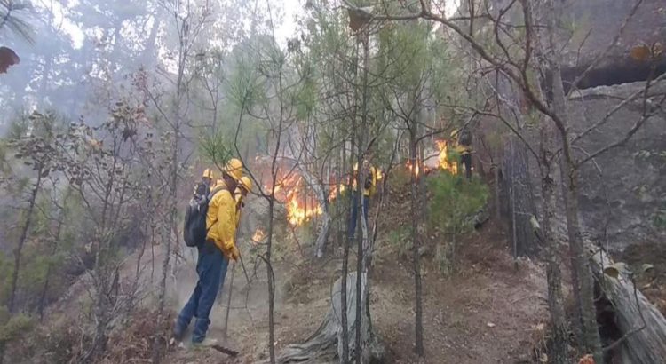 Refuerza Gobierno del Estado equipos para combatir incendios en zona serrana