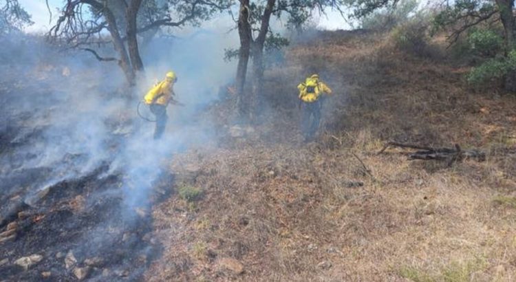 Se mantiene la entidad libre de incendios forestales