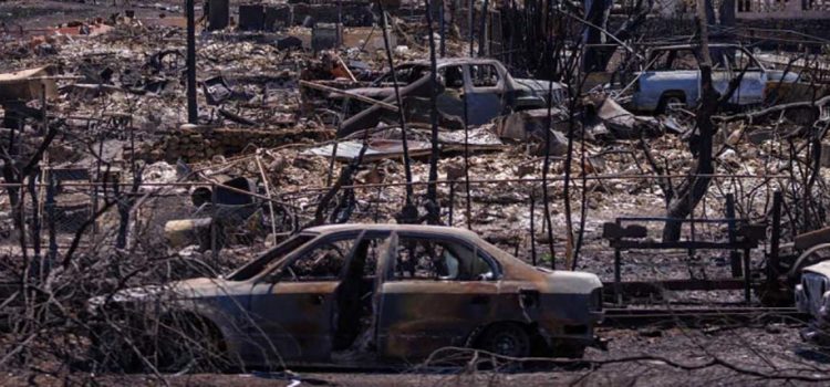 Sube a 106 la cifra de muertos por incendios en Hawái Sube a 106 la cifra de muertos por incendios en Hawái