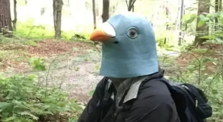 Vivió durante un año disfrazado de ave Vivió durante un año disfrazado de ave