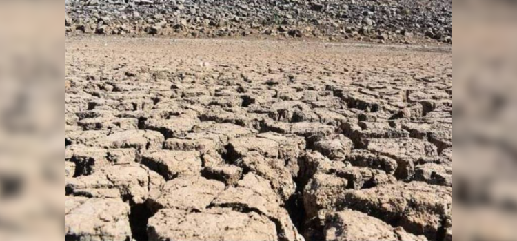 Se agrava sequía en Chihuahua: Sólo un municipio mejoró de severa a moderada