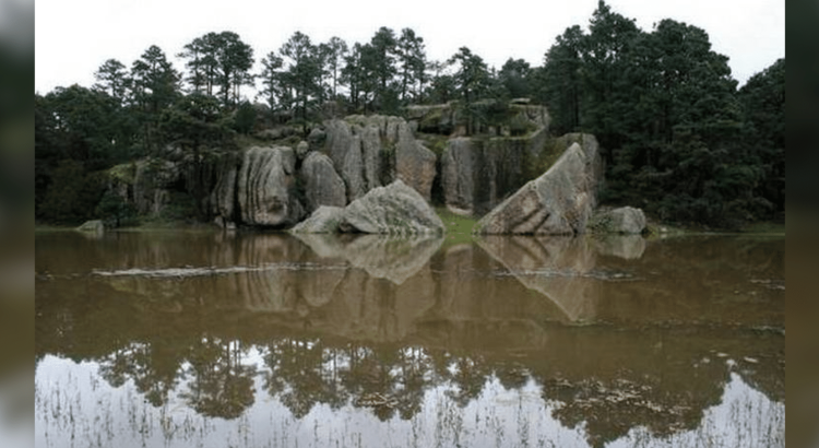Convocan a artistas a participar en proyecto “Imágenes del cuerpo en la mirada del mundo”