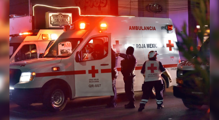 Niño de 4 años muere al ser atacado por un perro pitbull en Chihuahua