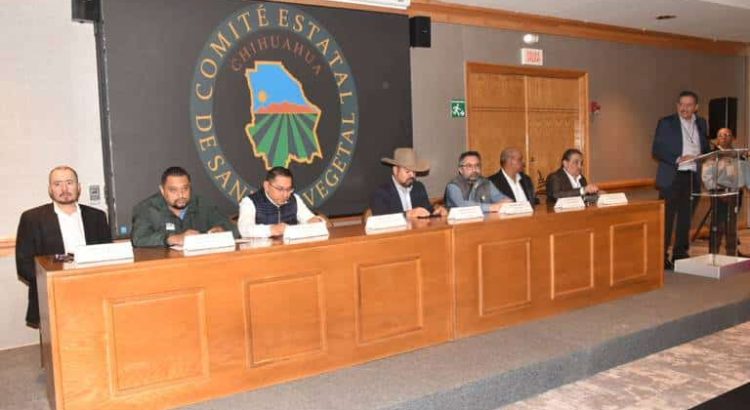 Chihuahua lidera la producción de algodón hueso con más de 454 mil toneladas libres de plagas