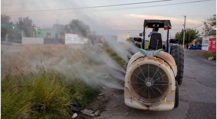 Suman 285 casos positivos de dengue en el estado de Chihuahua en 2024