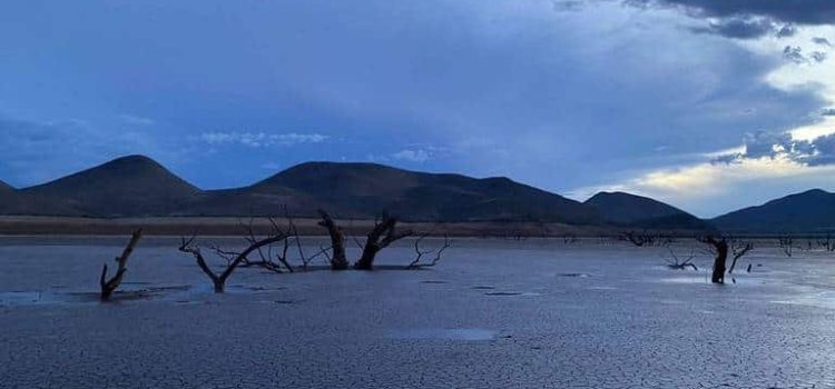 Chihuahua, epicentro de la sequía en Norteamérica; mapa muestra la gravedad del asunto