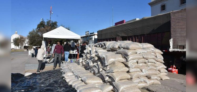 Rematan toneladas de frijol y cebolla en Chihuahua