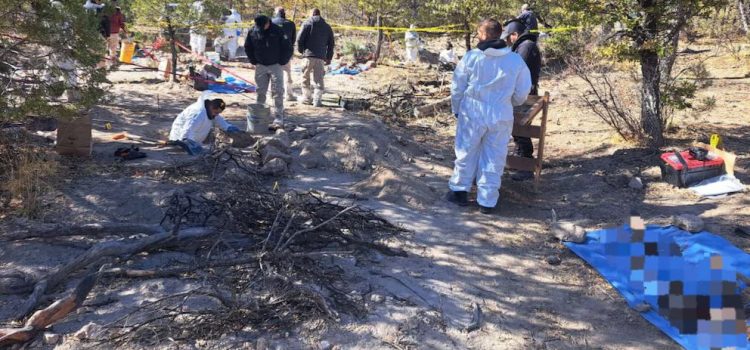 Aseguran 19 cuerpos más en fosas clandestinas de Casas Grandes; suman 45 los restos exhumados en un mes Aseguran 19 cuerpos más en fosas clandestinas de Casas Grandes; suman 45 los restos exhumados en un mes