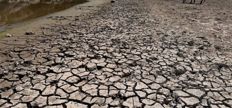 Aumenta la sequía extrema en Chihuahua en; 37 municipios cuentan con este estatus
