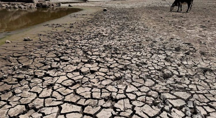 Aumenta la sequía extrema en Chihuahua en; 37 municipios cuentan con este estatus
