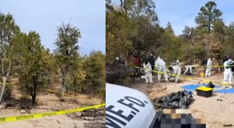 Se Eleva a 72 la Cifra de Cuerpos Encontrados en Fosas Clandestinas en Chihuahua