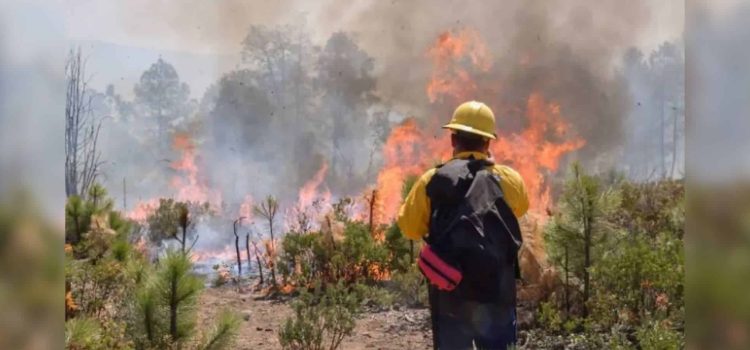 Registra Chihuahua cinco incendios forestales activos en tres municipios de la Sierra Tarahumara