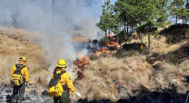 Reportan un incendio forestal activo en el estado
