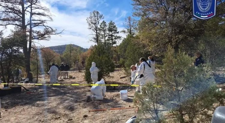 Suman 85 cuerpos hallados en Chihuahua