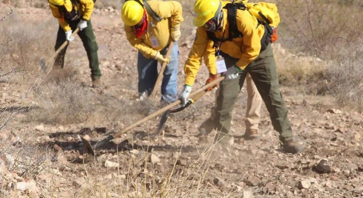 Casi 60 por ciento de los municipios en el estado de Chihuahua enfrentan sequía extrema