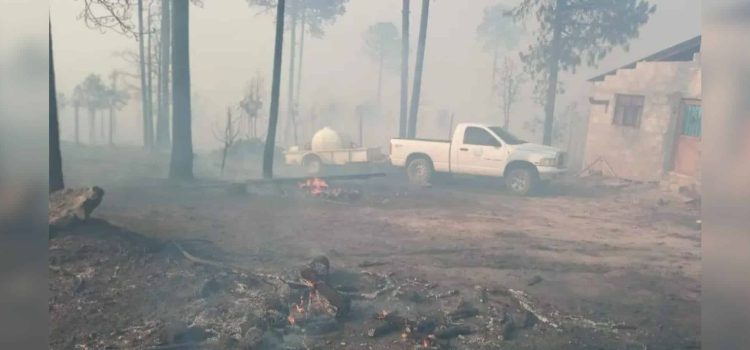 Hay cuatro incendios forestales activos en Chihuahua; estiaje agrava la situación