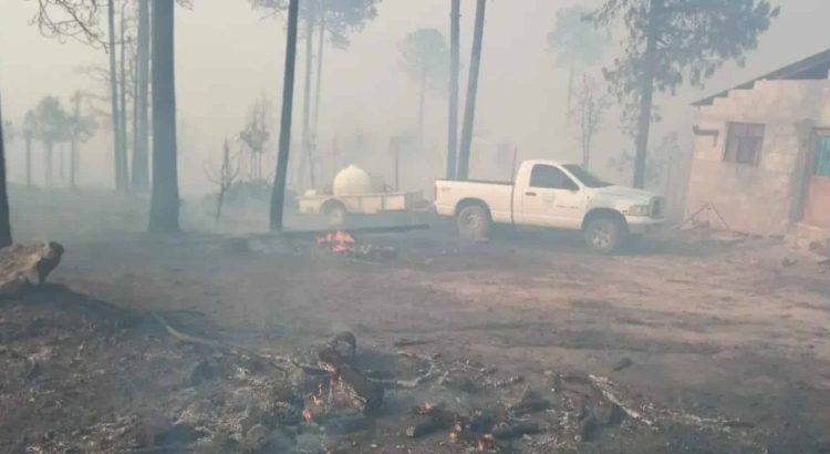 Hay cuatro incendios forestales activos en Chihuahua; estiaje agrava la situación