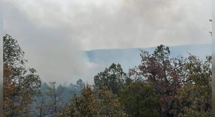 Concentra Chihuahua el 80% de la superficie de incendios forestales activos en México: Conafor