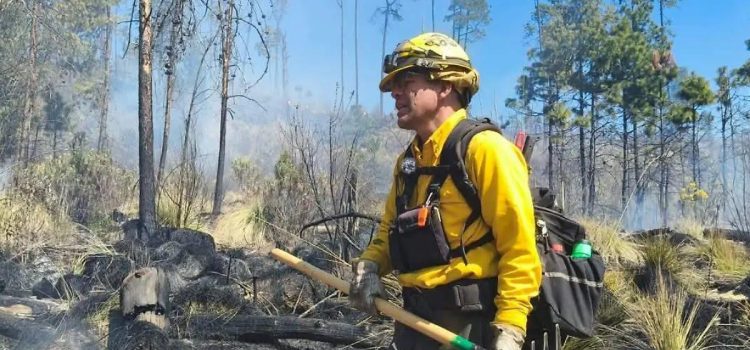 Sierra Tarahumara concentra el 95% de superficie en llamas por incendios forestales en Chihuahua