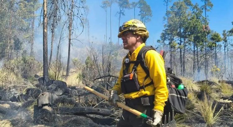 Sierra Tarahumara concentra el 95% de superficie en llamas por incendios forestales en Chihuahua