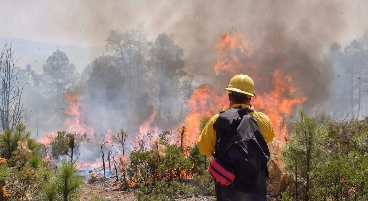 Intensificarán Estado y Federación esfuerzos para combatir incendios forestales en el estado de Chihuahua