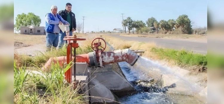 Producción agrícola caerá en Chihuahua por la sequía
