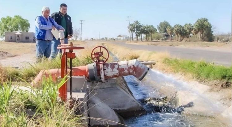 Producción agrícola caerá en Chihuahua por la sequía