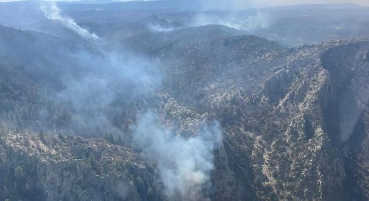 Más del 80% de la superficie acumulada de incendios forestales en Chihuahua fue liquidada este fin de semana