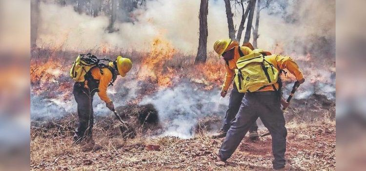 Chihuahua, segundo lugar en incendios forestales activos en el país