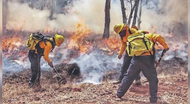 Chihuahua, segundo lugar en incendios forestales activos en el país