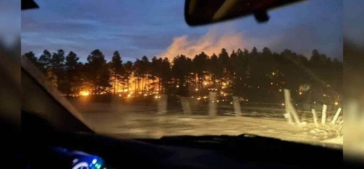 Aumentan a 13 mil 288 las hectáreas afectadas por incendios en Chihuahua