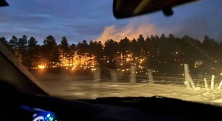 Aumentan a 13 mil 288 las hectáreas afectadas por incendios en Chihuahua
