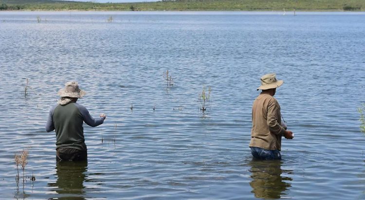 En peligro la biodiversidad acuática por prolongada sequía al sur del estado de Chihuahua