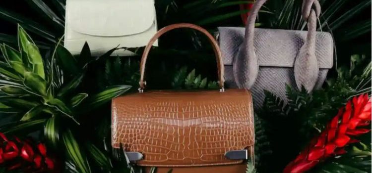 Tu próxima bolsa de lujo podría estar hecha de piel de … dinosaurio Tu próxima bolsa de lujo podría estar hecha de piel de … dinosaurio