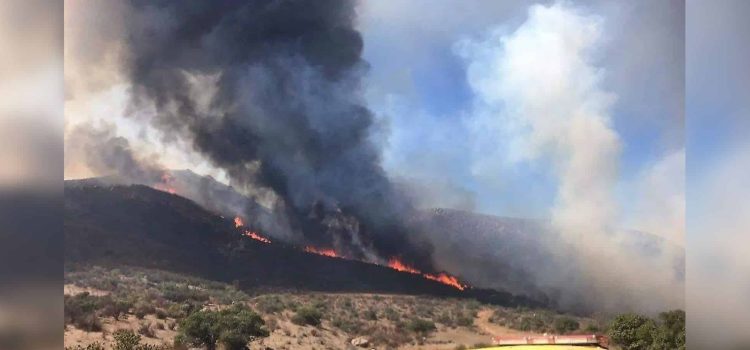 Aumentan más del 400% incendios forestales activos en Chihuahua por fuertes vientos