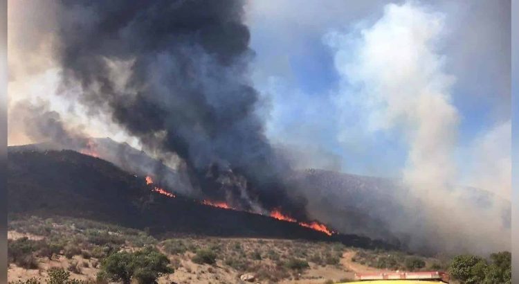 Aumentan más del 400% incendios forestales activos en Chihuahua por fuertes vientos