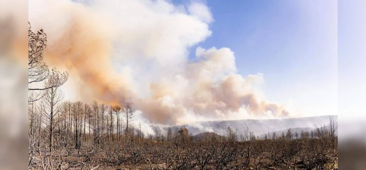 Chihuahua reporta nueve incendios forestales activos en este periodo vacacional