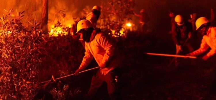Chihuahua en llamas: 13 incendios devastan más de 21 mil hectáreas y movilizan a 417 brigadistas