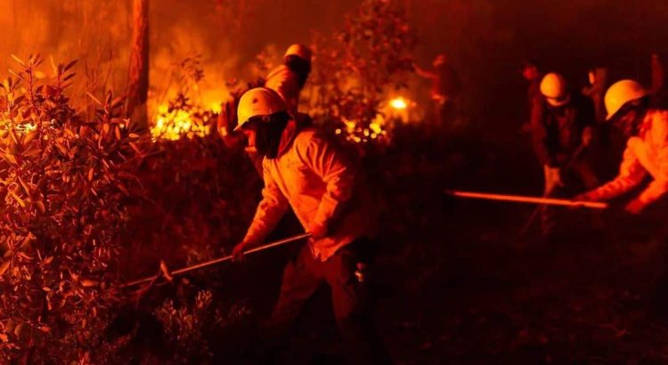 Chihuahua en llamas: 13 incendios devastan más de 21 mil hectáreas y movilizan a 417 brigadistas