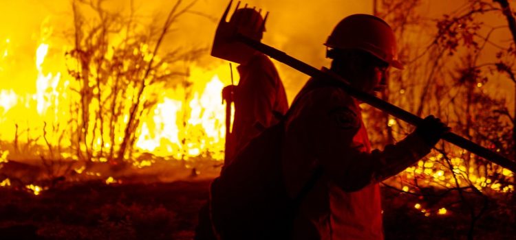 Avanza combate a incendios forestales en Chihuahua