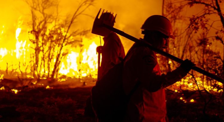 Avanza combate a incendios forestales en Chihuahua