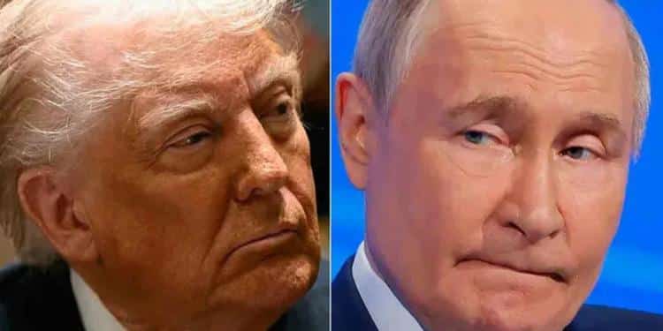 Trump y Putin anuncian inicio de negociaciones de alto el fuego entre Rusia y Ucrania