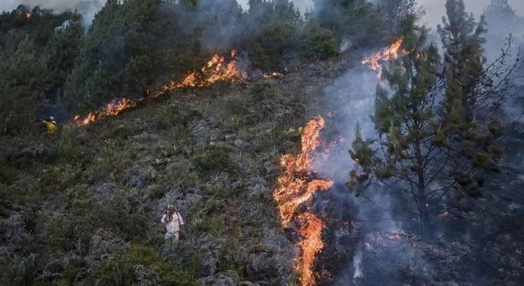 Chihuahua primer lugar nacional de superficie afectada por incendios forestales