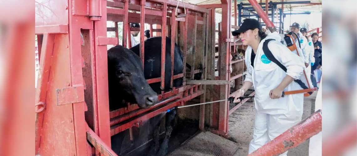 Invierten en Chihuahua más de 150 mdp para proteger el sector agropecuario y la sanidad vegetal y animal