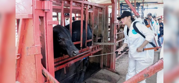 Invierten en Chihuahua más de 150 mdp para proteger el sector agropecuario y la sanidad vegetal y animal